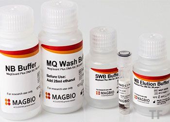 HighPrep HMW DNA Kit